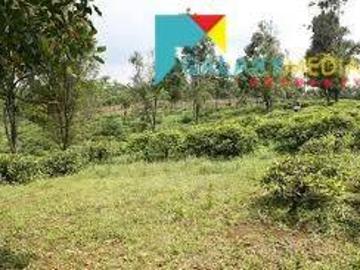 Tanah dijual di Sagalaherang, Subang