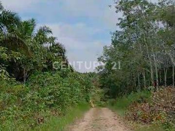 Tanah dijual di Sepaku, Penajam Paser Utara