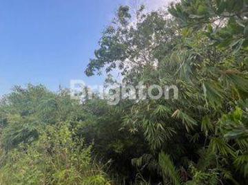 Tanah dijual di Sepaku, Penajam Paser Utara