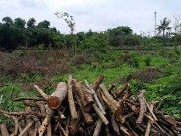 Tanah dijual di Serang Timur, Serang