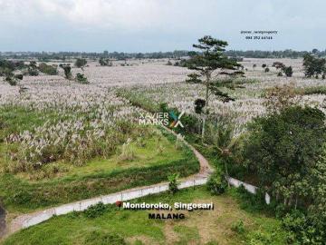 Tanah dijual di Singosari, Malang