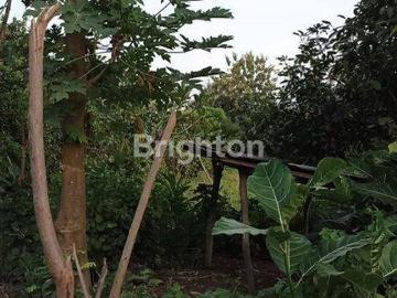 Tanah dijual di Singaraja, Buleleng
