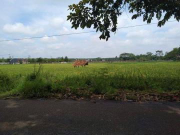 Tanah dijual di Subang Kota, Subang