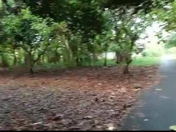 Tanah dijual di Subang Kota, Subang
