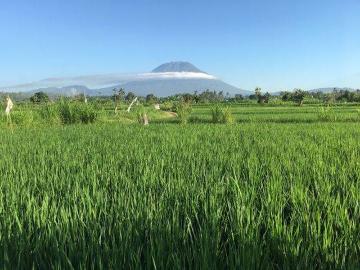 Tanah dijual di Subagan, Karangasem