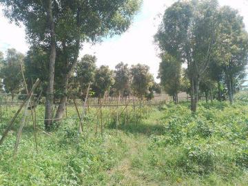 Tanah dijual di Sukaraja, Sukabumi