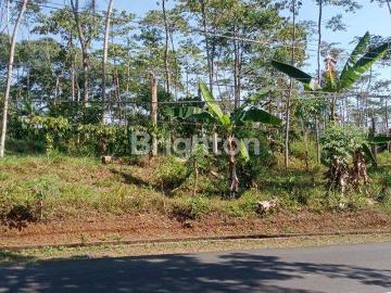 Tanah dijual di Sukorejo, Kendal