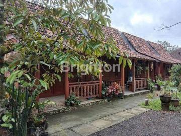 Tanah dijual di Patuk, Gunung Kidul