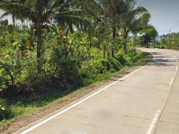 Tanah dijual di Pandeglang, Pandeglang