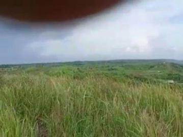 Tanah dijual di Pandeglang, Pandeglang