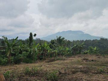 Tanah dijual di Pandeglang, Pandeglang