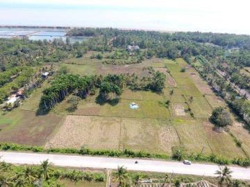 Tanah dijual di Panimbang Jaya, Pandeglang