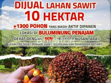 Tanah dijual di Penajam, Penajam Paser Utara
