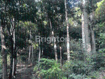 Tanah dijual di Pujut, Lombok Tengah