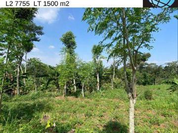 Tanah dijual di Purwodadi, Pasuruan