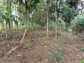 Tanah dijual di Purwokerto, Purwokerto