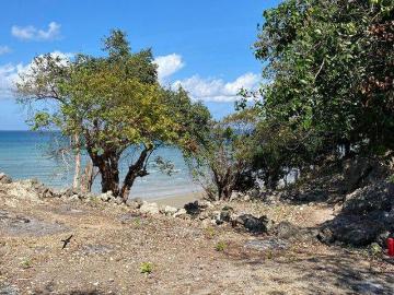 Tanah dijual di Rote Tengah, Rote Ndao