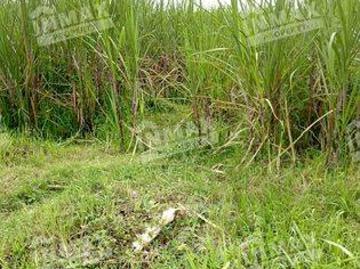 Tanah dijual di Wagir, Malang
