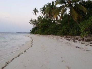 Tanah dijual di Wangi Wangi, Wakatobi