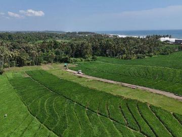 Tanah dijual di Tabanan, Tabanan