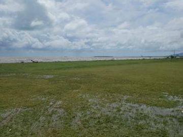Tanah dijual di Tanjung Lesung, Pandeglang