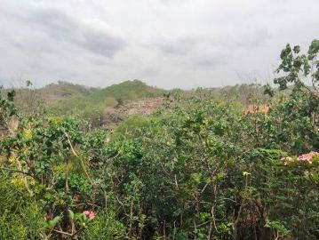 Tanah dijual di Tanjungsari, Gunung Kidul