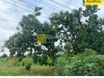 Tanah dijual di Terbanggi Besar, Lampung Tengah