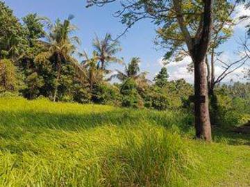 Tanah dijual di Tumbu, Karangasem