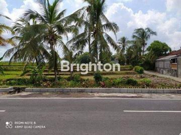 Tanah disewa di Beraban, Tabanan