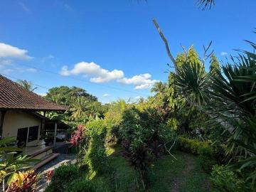 Tanah disewa di Blayu, Tabanan
