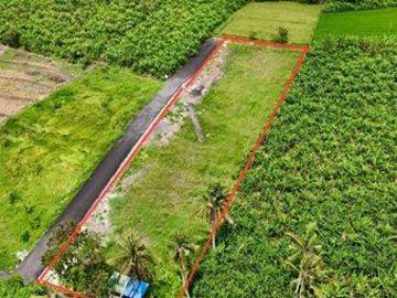 Tanah disewa di Denpasar Selatan, Denpasar