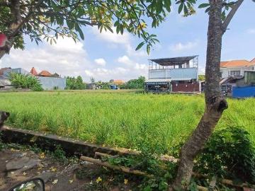 Tanah disewa di Renon, Denpasar