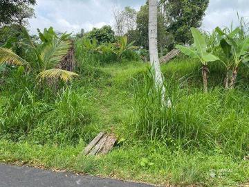 Tanah disewa di Tabanan, Tabanan