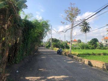 Tanah disewa di Ubud, Gianyar