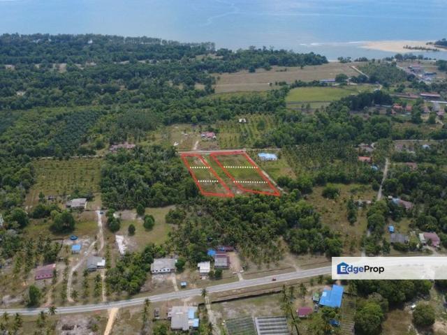 Tanah Dusun Durian 3ekar Di Chini Pekan