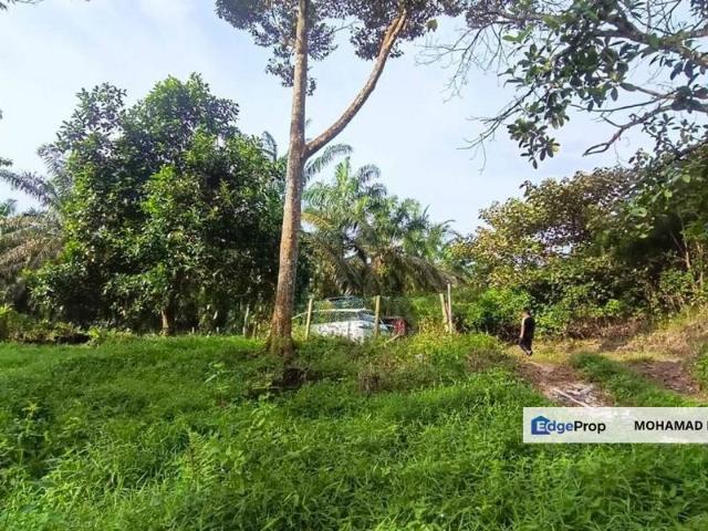 TANAH DUSUN DURIAN UNTUK DIJUAL / SALE