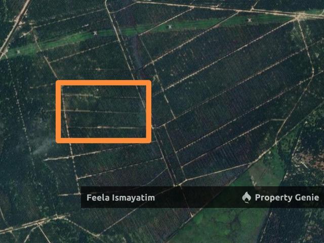 Tanah Lot Untuk Dijual di RPT Batu 11, Lekir, Setiawan, Perak