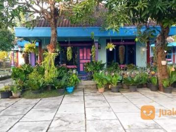 Tanah luas bonus rumah