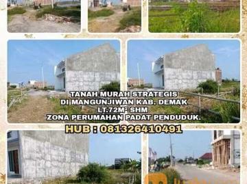 TANAH MURAH STRATEGIS DI MANGUNJIWAN KAB. DEMAK. LT72M SHM ZONA PERUMAHAN PADAT PENDUDUK