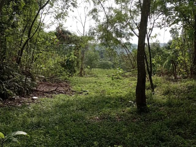 Tanah Pertanian 1 Ekar Sungai Kertas Batu Caves Selangor