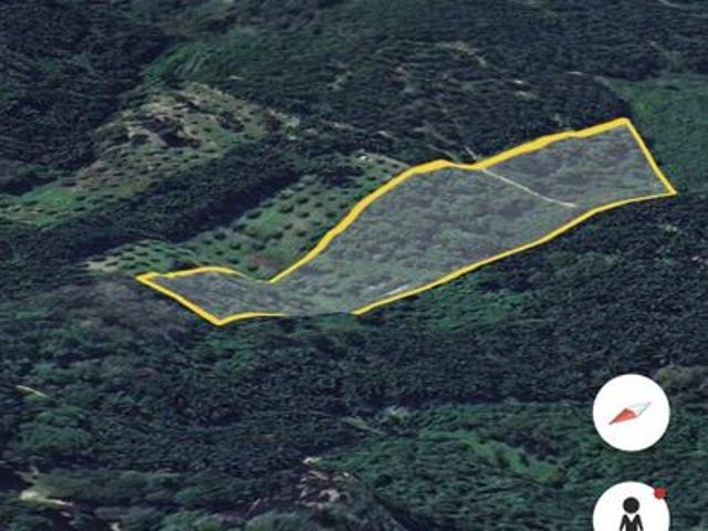 Tanah Pertanian 2.68 ekar Kg Bukit Senggeh Jasin Melaka untuk dijual