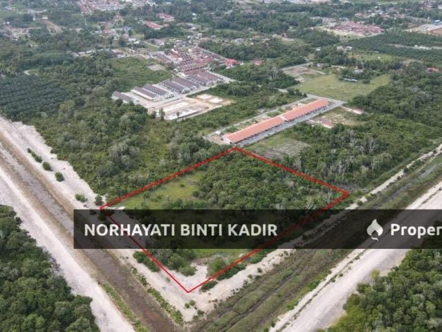 TANAH PERTANIAN 7 EKAR, KETAPANG, PEKAN