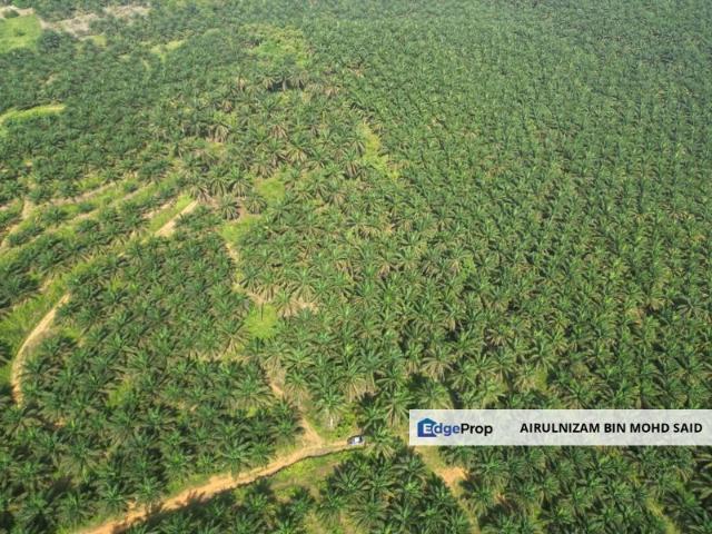 TANAH PERTANIAN 4.725 Ekar di Sg Gemuruh, Kota Tinggi [MURAH]