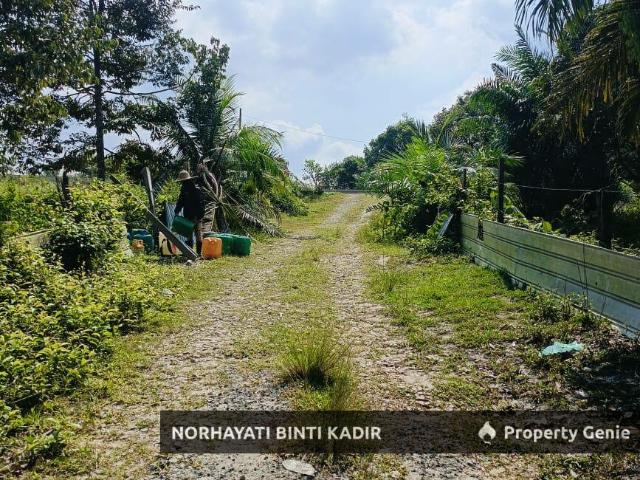 TANAH PERTANIAN DI IBOK