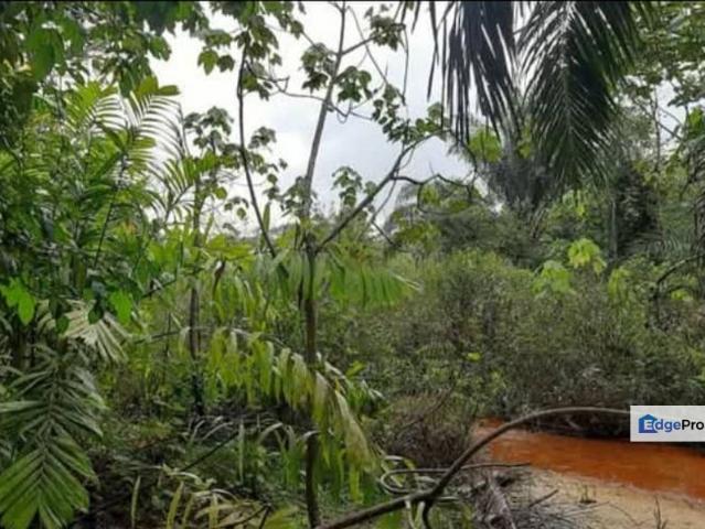 Tanah Pertanian Malay Reserved Seluas 6.35 Ekar Di Jabor Perasing