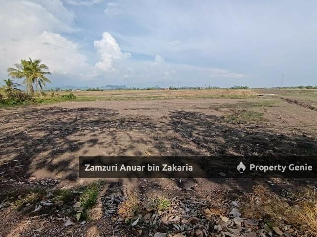 Tanah Pertanian Rapat Jàlan Tambun Tulang Arau Perlis