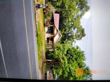 tanah pinggir jalan lintas bonus rumah dan kebunsawit tua