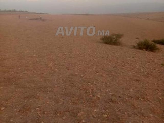 Tanaoul Terrain agricole à vendre