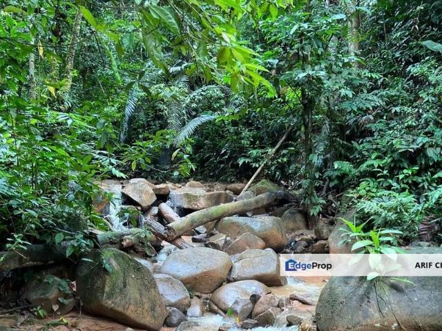 Tanarimba, Jandabaik, Bentong ️