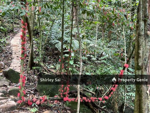 Tanarimba,Janda Baik